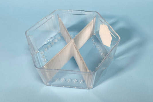 Sortiereinsatz GraviTrax Micro in Box leer